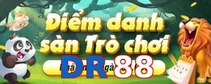 DR88