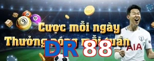 DR88